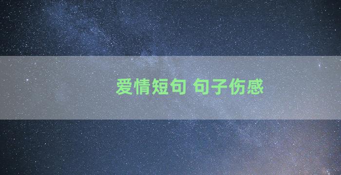 爱情短句 句子伤感